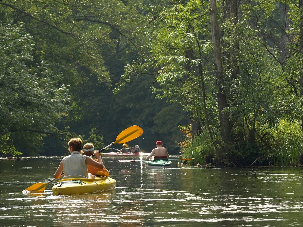 14 Can’t Miss Things to Do in Kerrville, TX