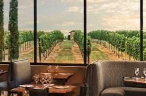 Things To Do Stout’s Signature at Grape Creek