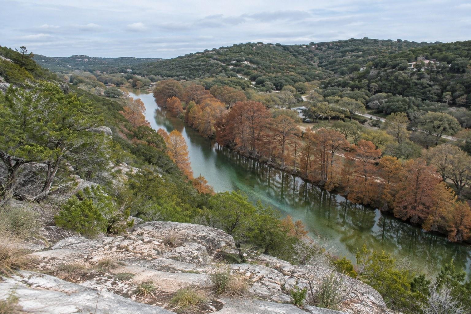 Bald cypress trees in orange fall color along a green river in the Texas Hill Country