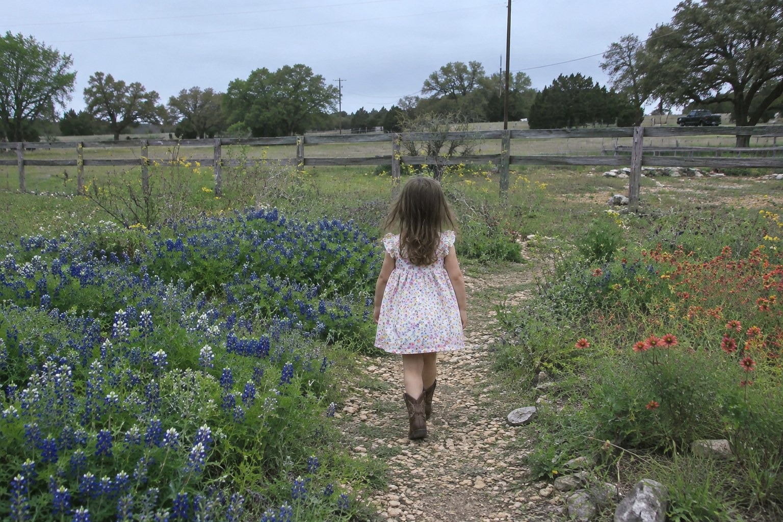 Child walking through a bluebonnet and wildflower field near Fredericksburg, TX